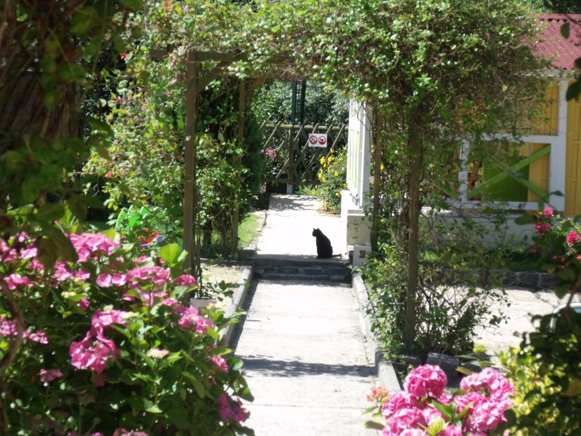 Hôtel Le Clos Robinson Martin-Église Exterior foto